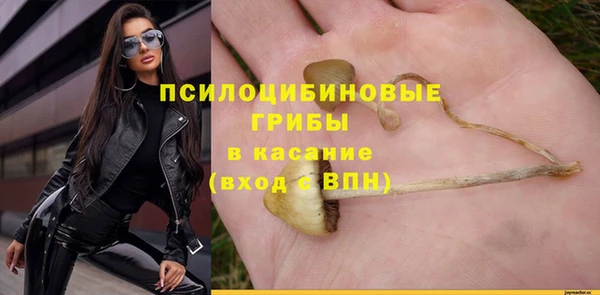 ГАЛЛЮЦИНОГЕННЫЕ ГРИБЫ Алексеевка