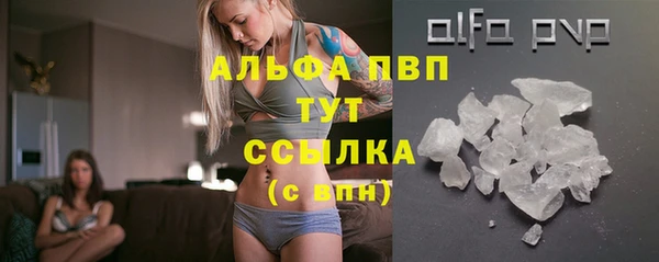 крисы Алексин