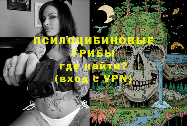 ГАЛЛЮЦИНОГЕННЫЕ ГРИБЫ Алексеевка