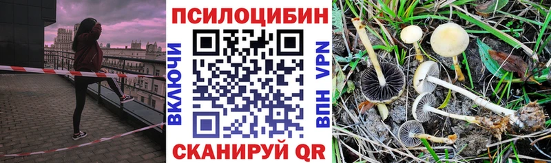 Галлюциногенные грибы Magic Shrooms  Дрезна 